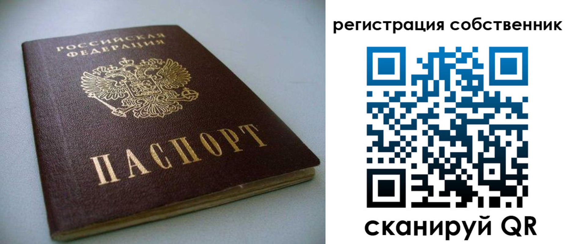 найти адрес прописки в Елизово